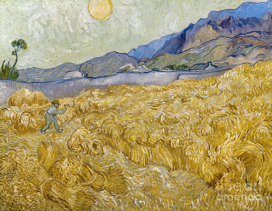 Van Gogh: Wheatfield, 1889 Photograph by Granger
