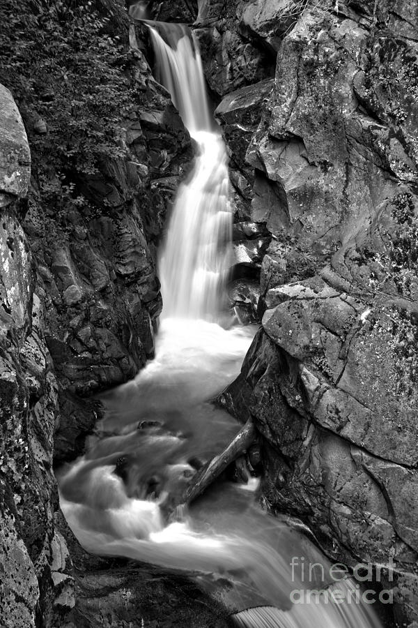 Van Trump Creek Canyon - Black And White Photograph by Adam Jewell