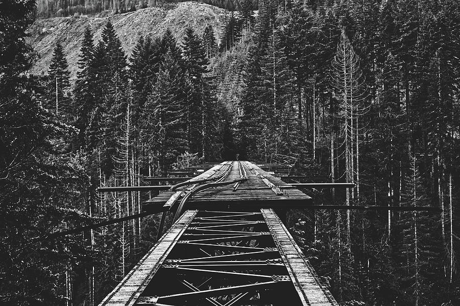 Vance Creek Bridge, Washington Photograph by Mountain Dreams
