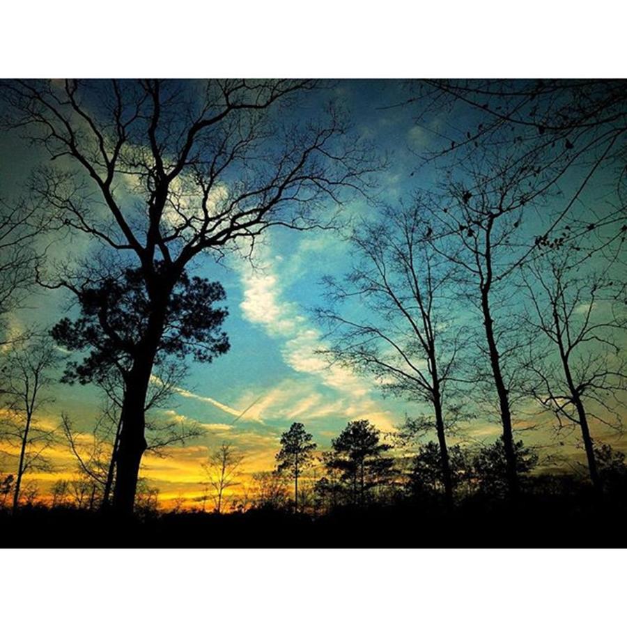 Tree Photograph - Vancleave Sunset #visitms #mobilepics by Joan McCool