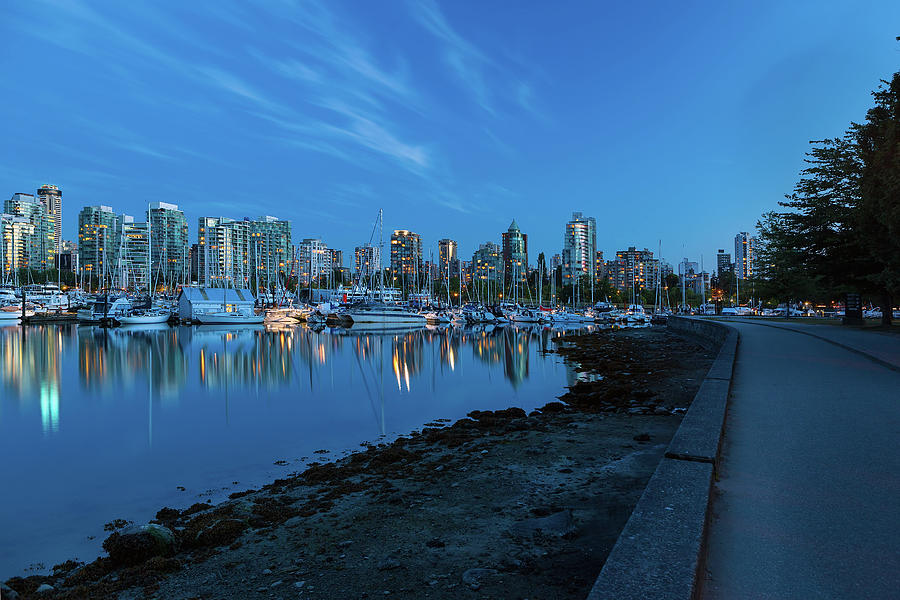 Vancouver BC Skyline along Stanley Park Seawall Photograph by David Gn