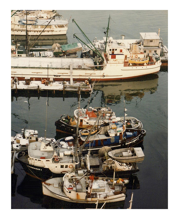 Vancouver Harbor fishin fleet Photograph by Jack Pumphrey
