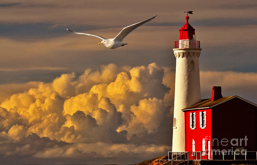 Vancouver Island Lighthouse by Von McKnelly Vancouver Island Lighthouse by Von McKnelly