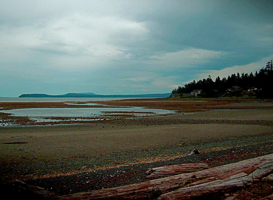 Vancouver Island N Her Beaches Digital Art by Joseph Coulombe