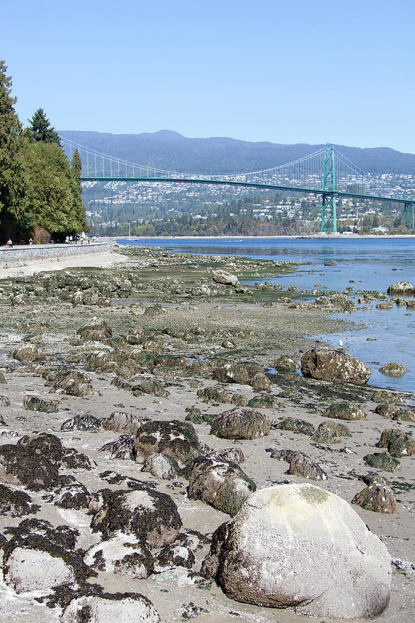 Vancouver Low Tide Photograph by Ramunas Bruzas