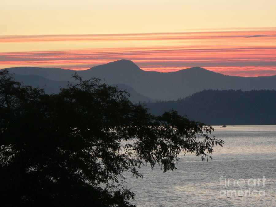 Vancouver Sunset Photograph by Elizabeth Fontaine-Barr