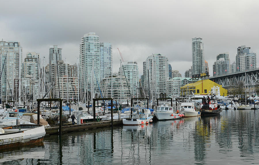 Vancouver Winter Morning 2 Photograph by Fraida Gutovich