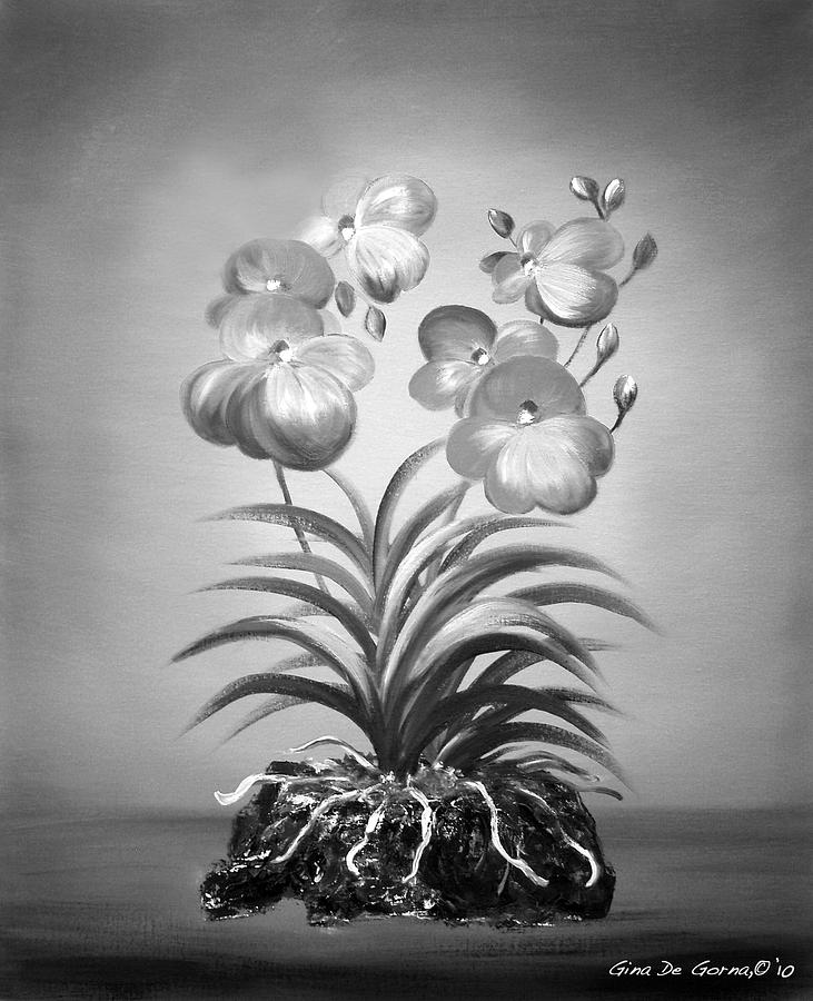 Vanda Orchids in Black and White Painting by Gina De Gorna