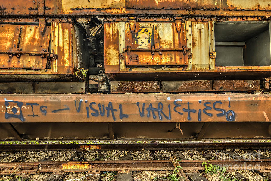 Vandalised train Photograph by George Kenhan