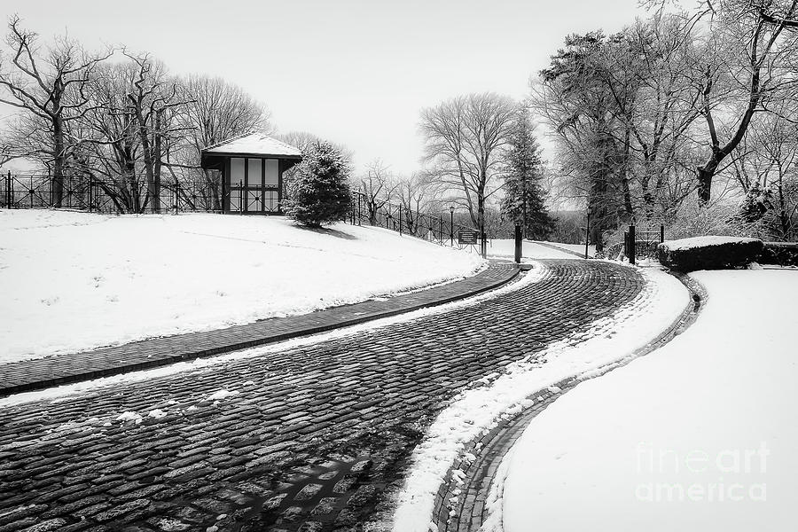 Vanderbilt Winter Road Photograph by Alissa Beth Photography