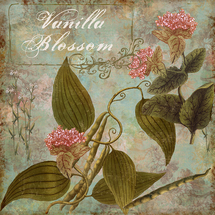 Nature Painting - Vanilla Blossom by Mindy Sommers