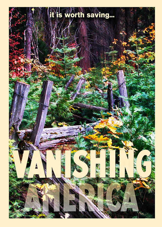 Vanishing America Digital Art by John Haldane