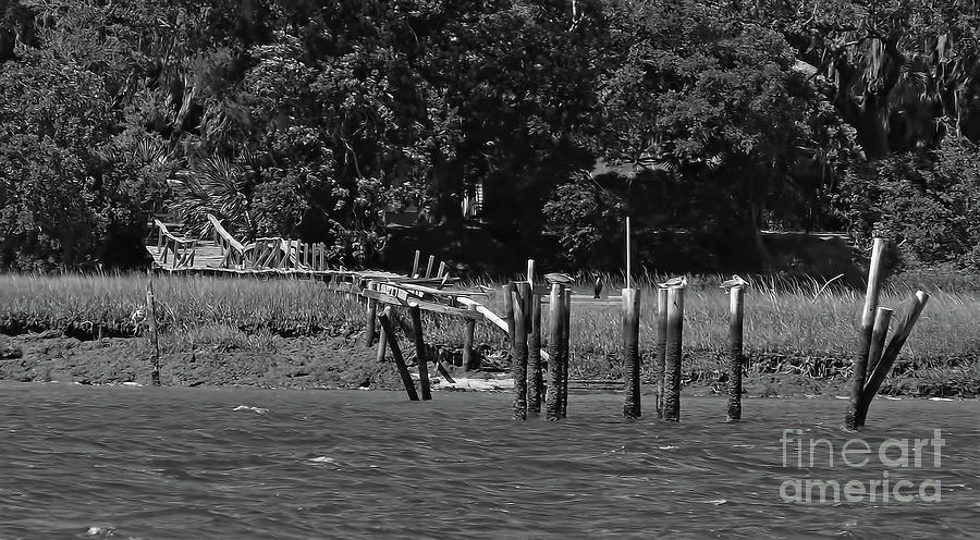 Vanishing Dock Photograph by D Hackett