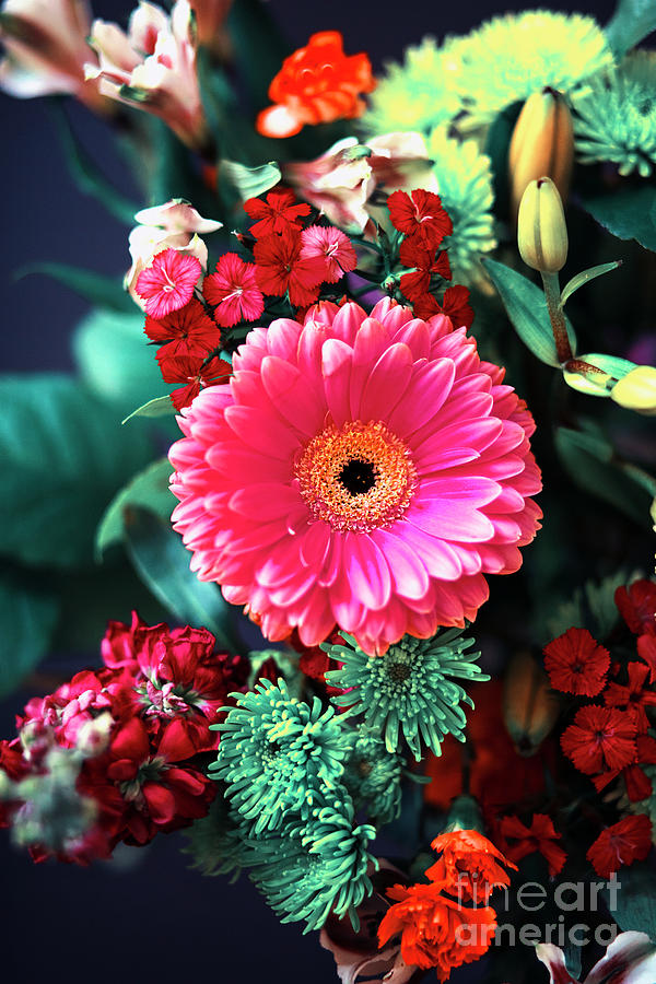 Vanity Flower Photograph by Mariola Bitner
