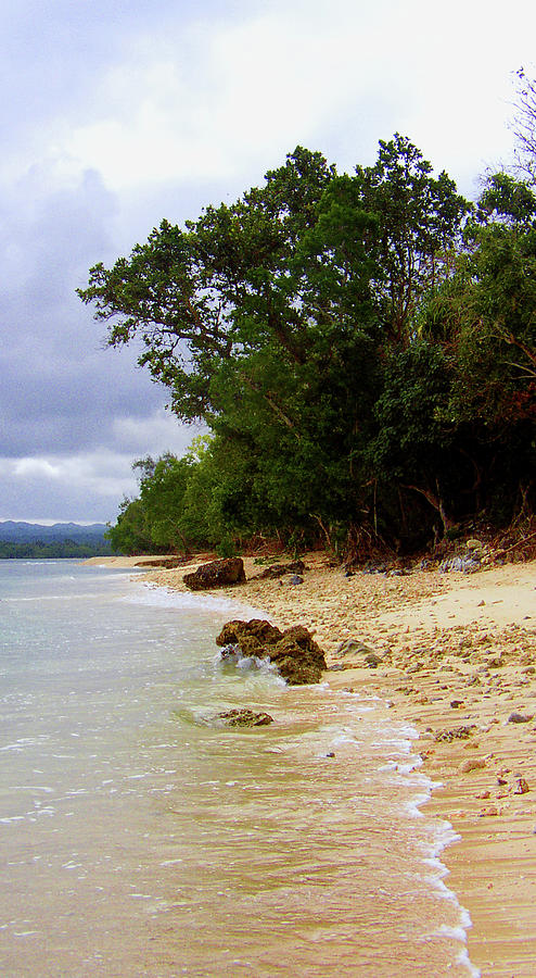Nature Photograph - Vanuatu 5 by Elisabeth Dubois