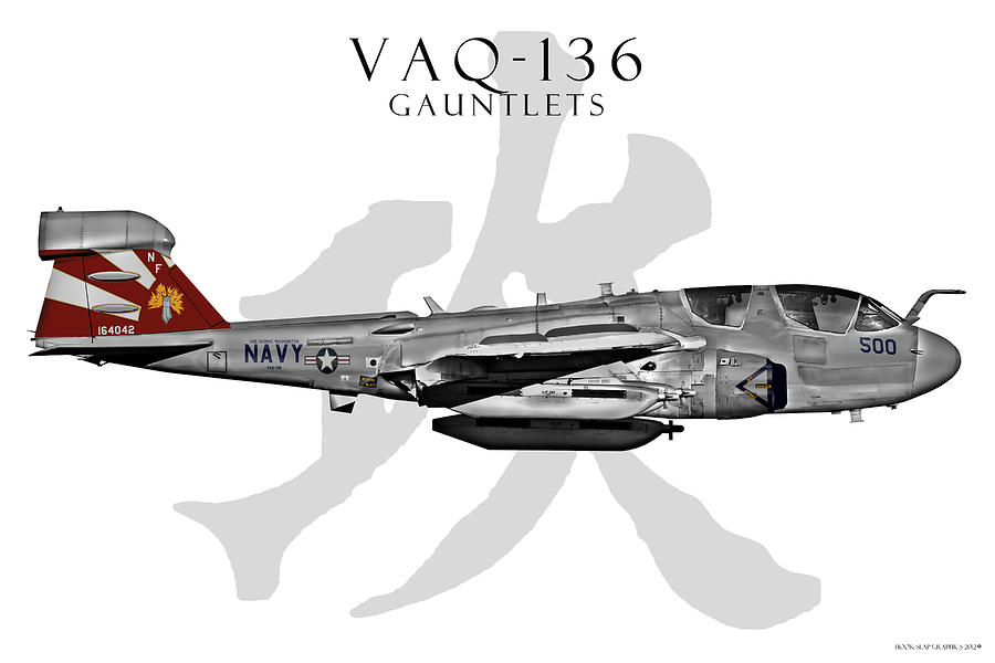 Airplane Digital Art - VAQ-136 Prowler by Clay Greunke