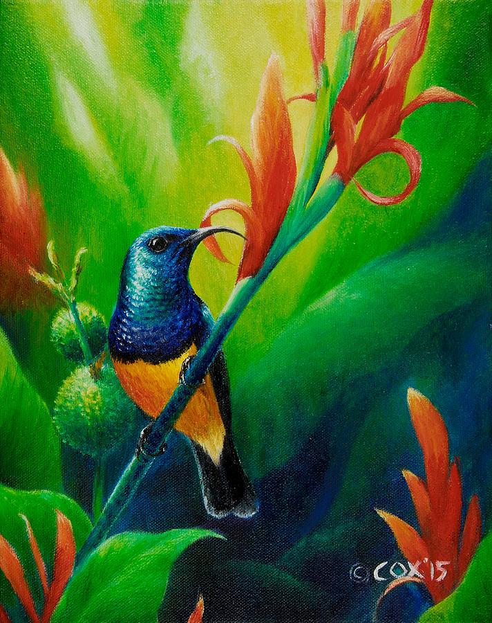 Variable Sunbird Painting by Christopher Cox