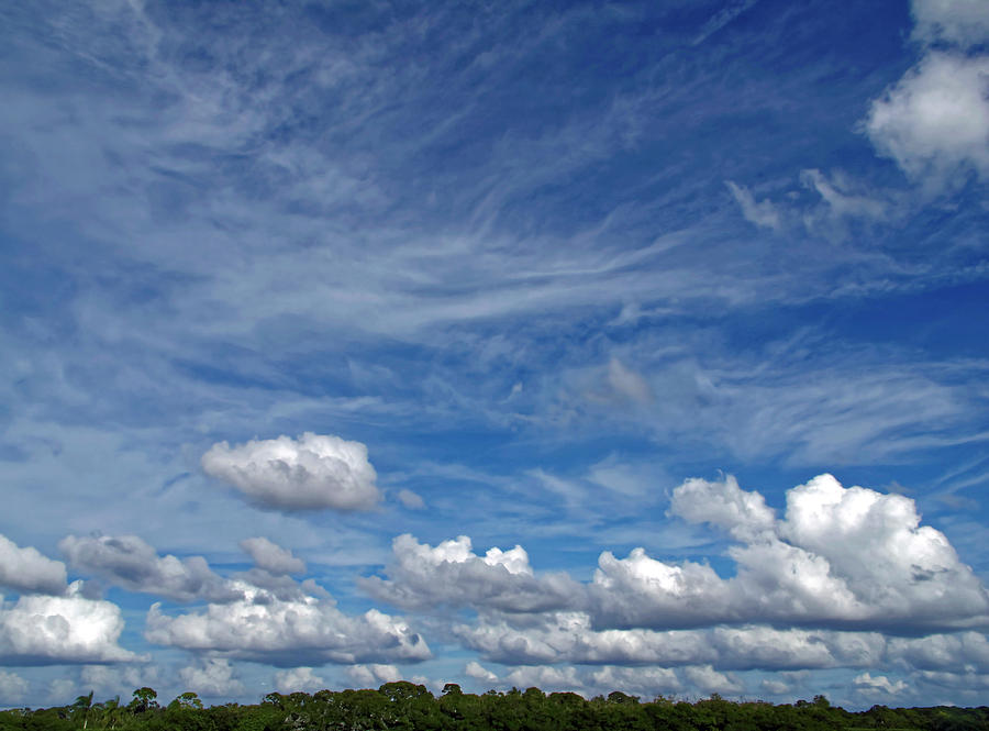 Varied Cloud Forms Photograph by Sally Weigand