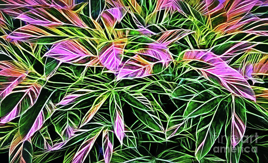 Variegated Leaves Pink and Green Photograph by Linda Phelps