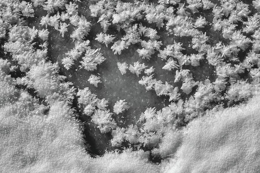 Various Forms Of Ice Crystals  Photograph by Lyle Crump