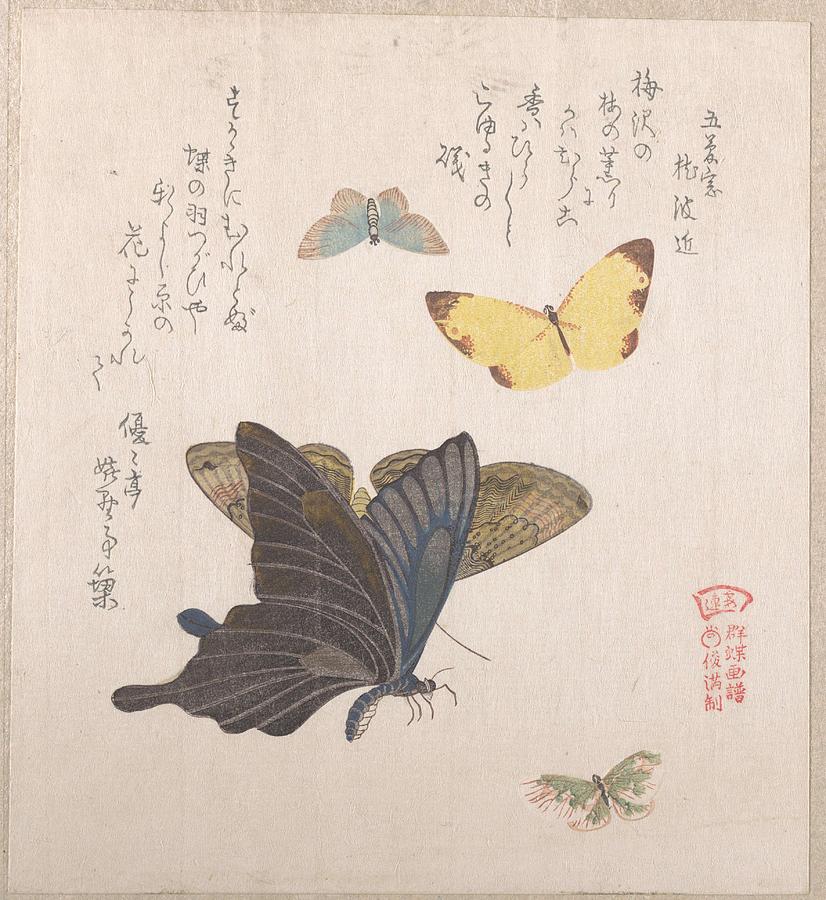 japanese butterfly painting