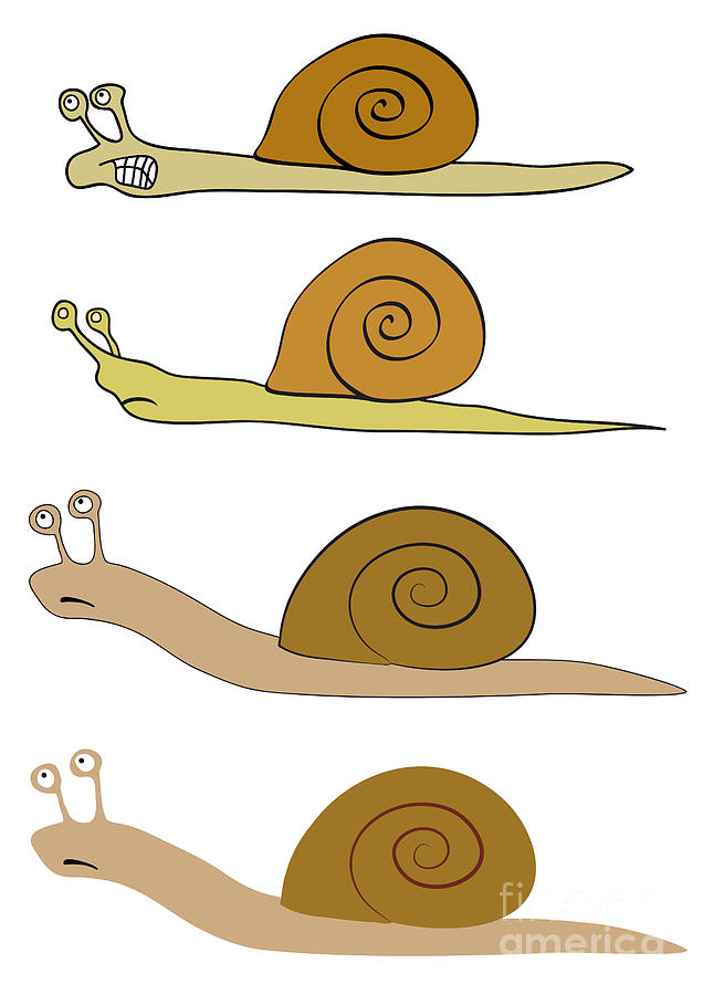 Various Snails Digital Art by Michal Boubin