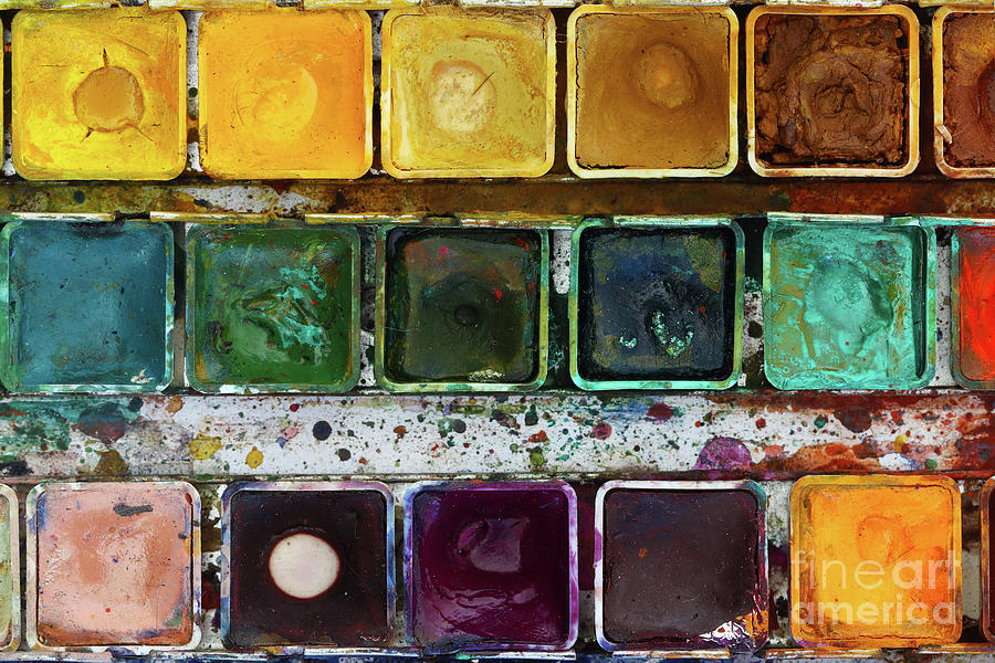 Various watercolor pigments in the color-saucer Photograph by Michal Boubin