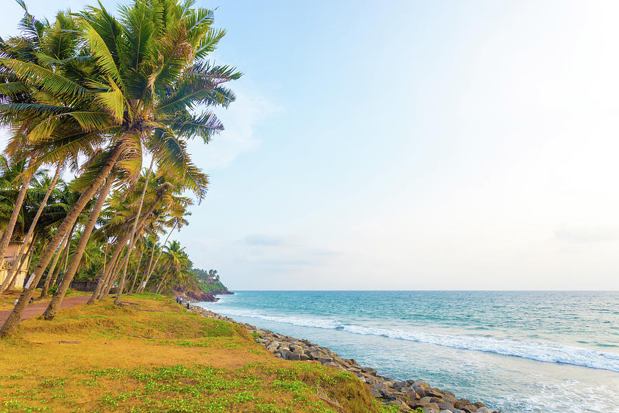 Varkala Coast Grass Palm Trees Ocean H Photograph by Pius Lee - Fine ...