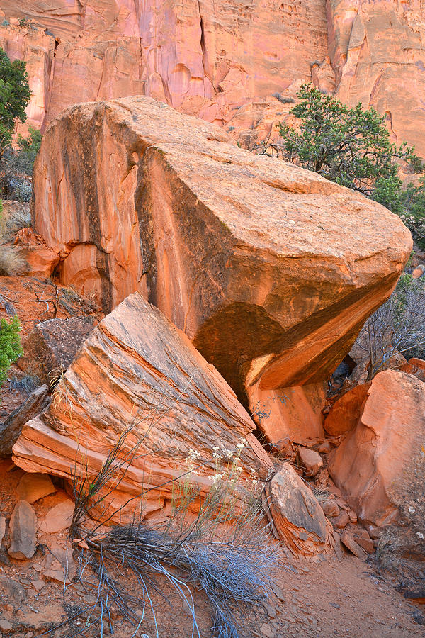 Varnished Boulders Photograph by Ray Mathis