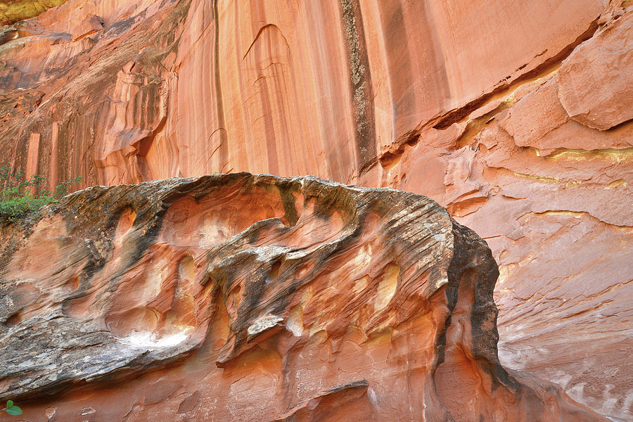 Varnished Wall in Grand Wash Photograph by Ray Mathis
