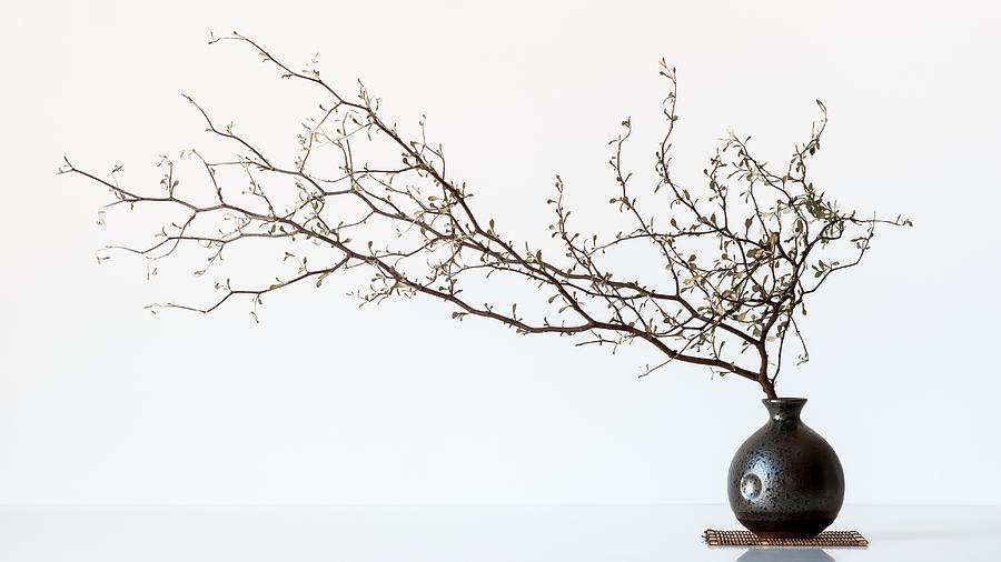 Vase Photograph - Vase And Branch by Prbimages