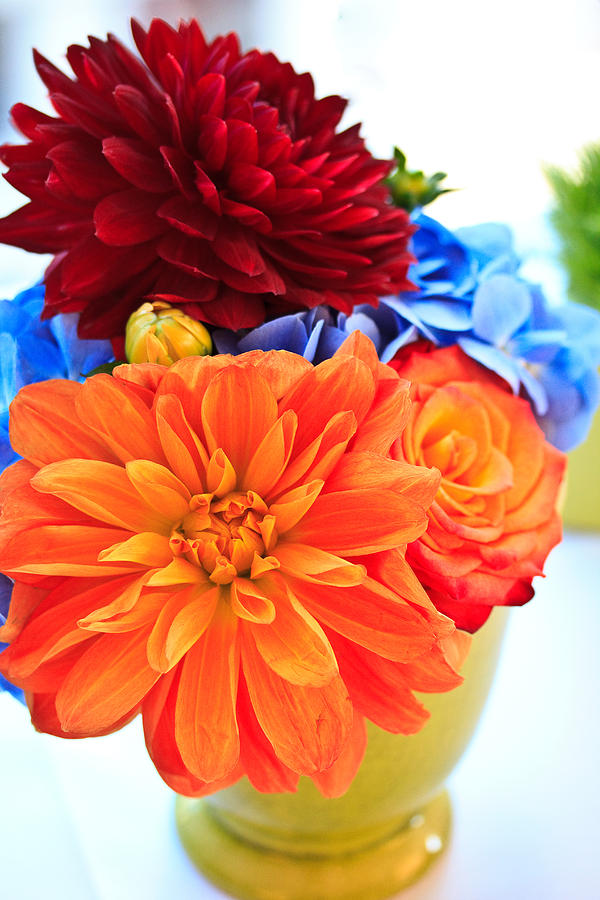 Vase of Colorful Flowers Photograph by Joni Eskridge