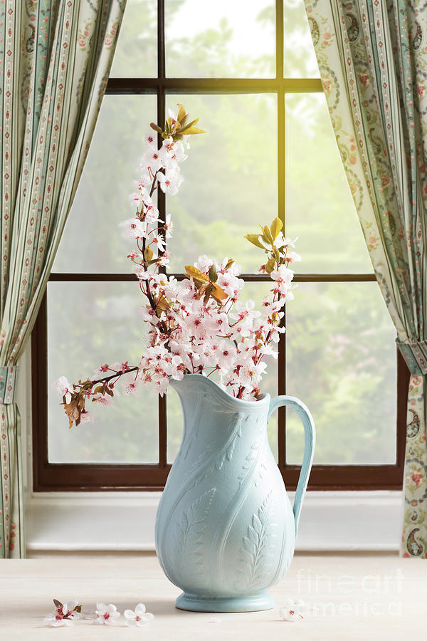 Still Life Photograph - Vase Of Flowers by Amanda Elwell