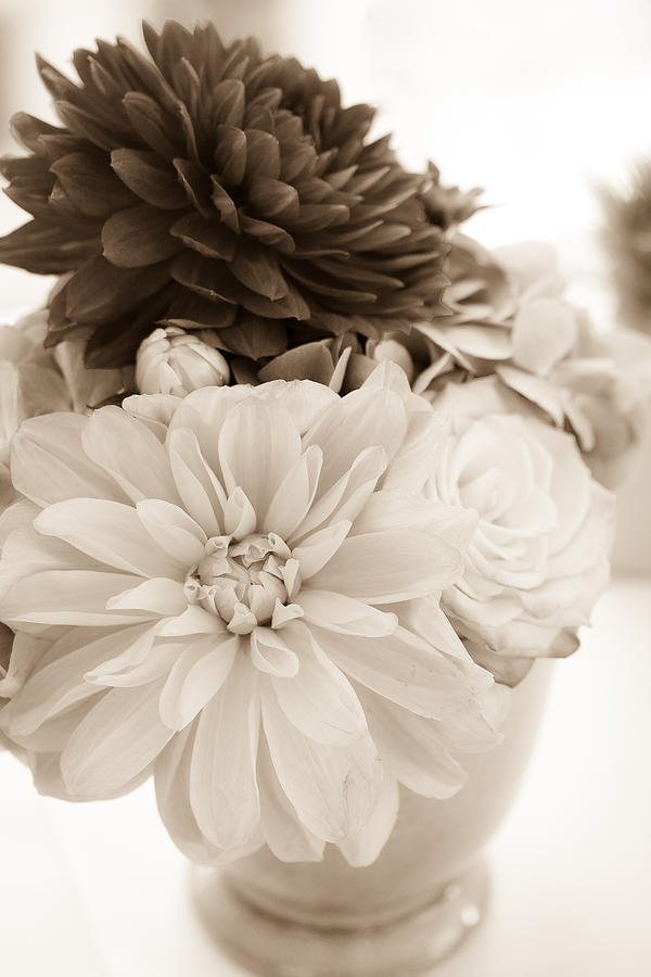 Vase Of Flowers In Sepia Photograph