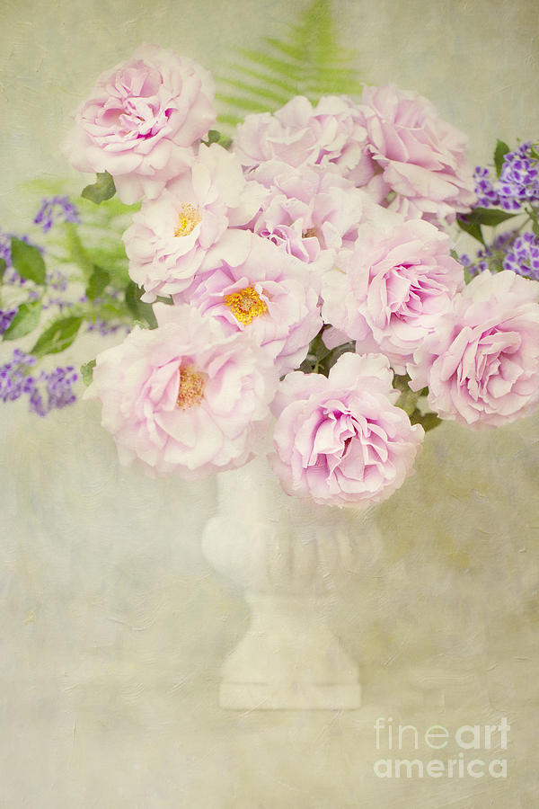 Vase of Pink Roses Photograph by Susan Gary