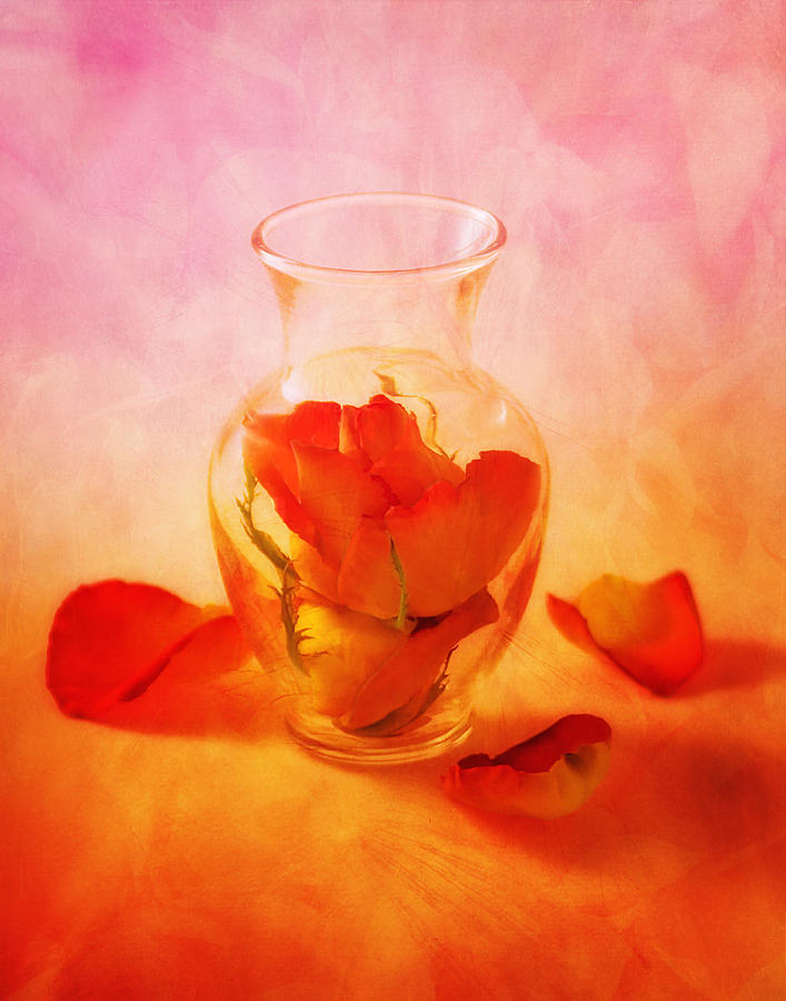 Vase of Roses Still Life Photograph by Tom Mc Nemar