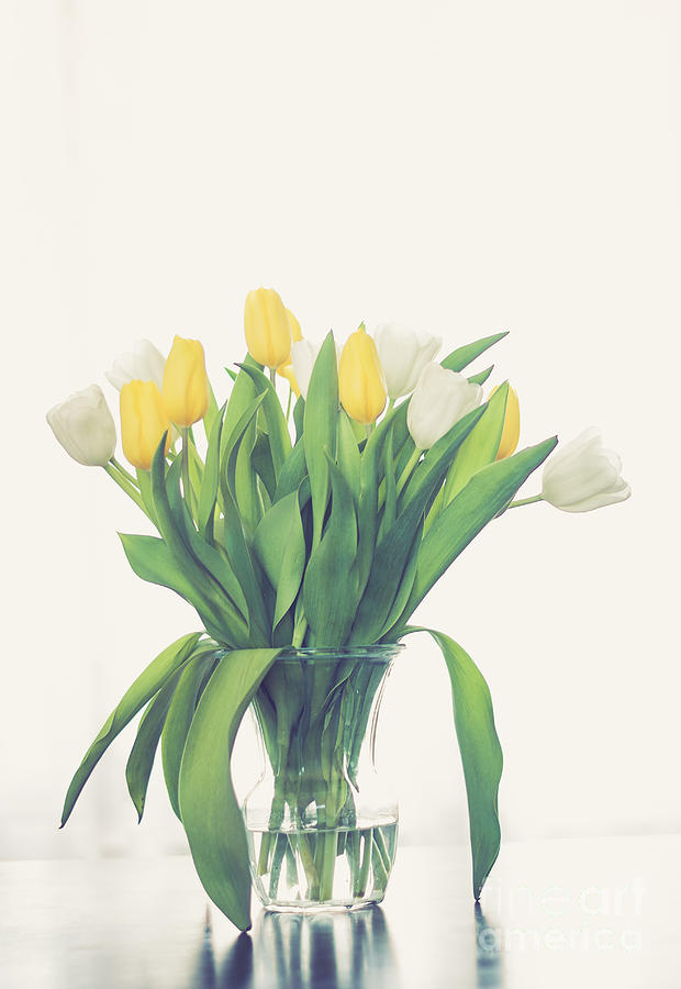 Vase of Tulips Photograph by Cheryl Baxter