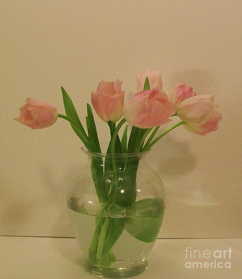 Vase of Tulips Photograph by Marsha Heiken