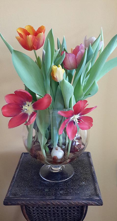 Vase of Tulips Photograph by Vijay Sharon Govender
