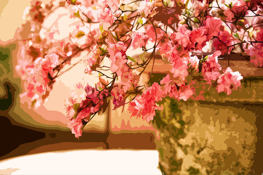 Spring Photograph - Vase Petals Flowers by Francesco Atzori
