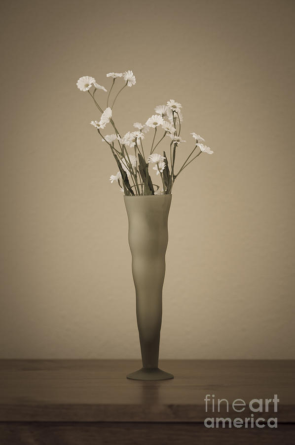 Vase with Flowers  Photograph by Jim Corwin