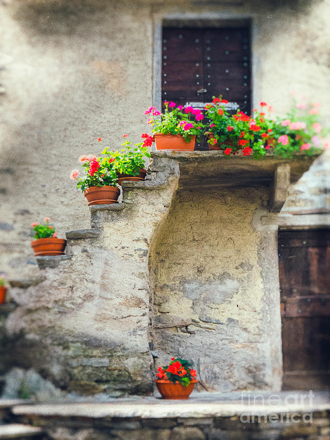 Vases with flowers on stairs Photograph by Silvia Ganora