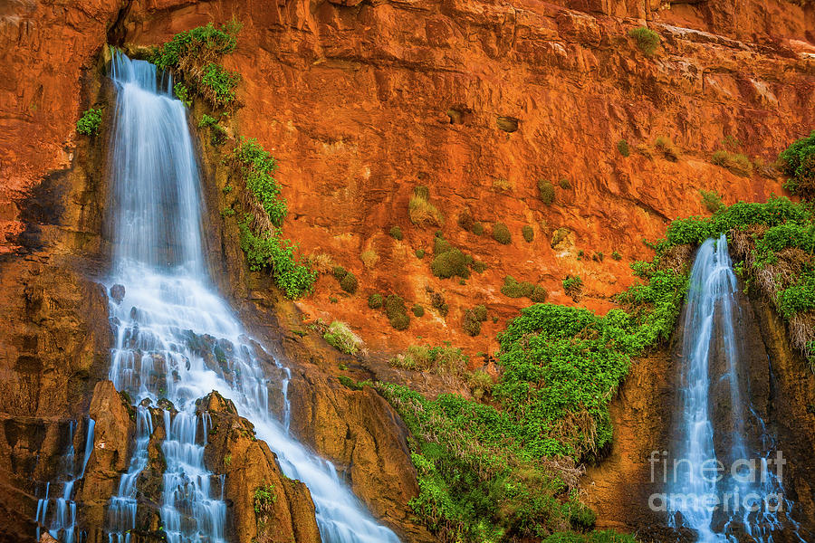 Grand Canyon National Park Photograph - Vaseys Paradise Twin Falls by Inge Johnsson
