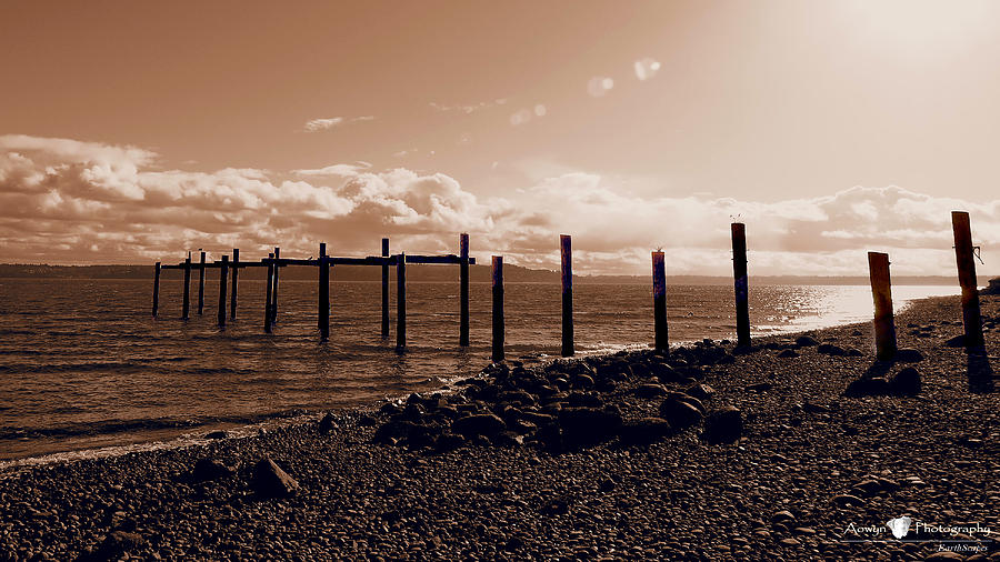 Pilings Photograph - Vashon Pilings by Stephanie McGuire Pilings Photograph - Vashon Pilings by Stephanie McGuire