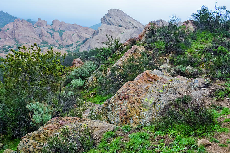 Vasquez Rocks Desert Garden Photograph by Kyle Hanson
