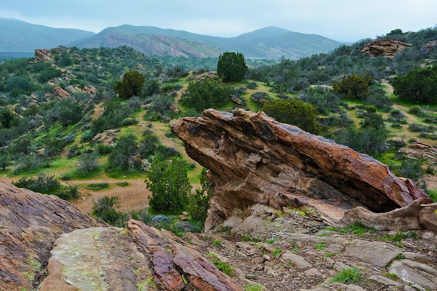 Vasquez Rocks Desert Photograph by Kyle Hanson