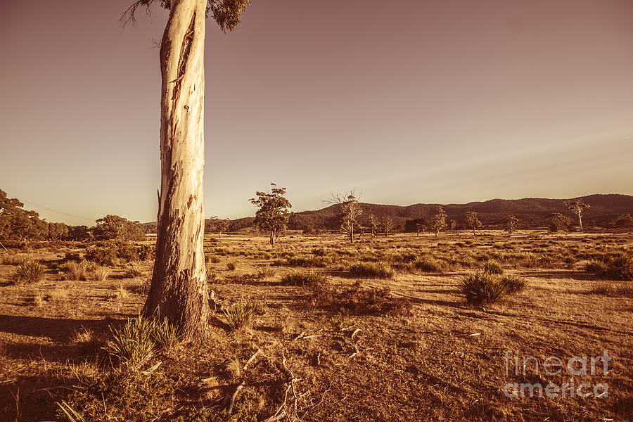 Vast pastoral Australian countryside  Photograph by Jorgo Photography