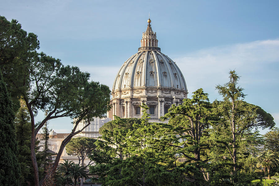 Vatican Dome  Photograph by John McGraw