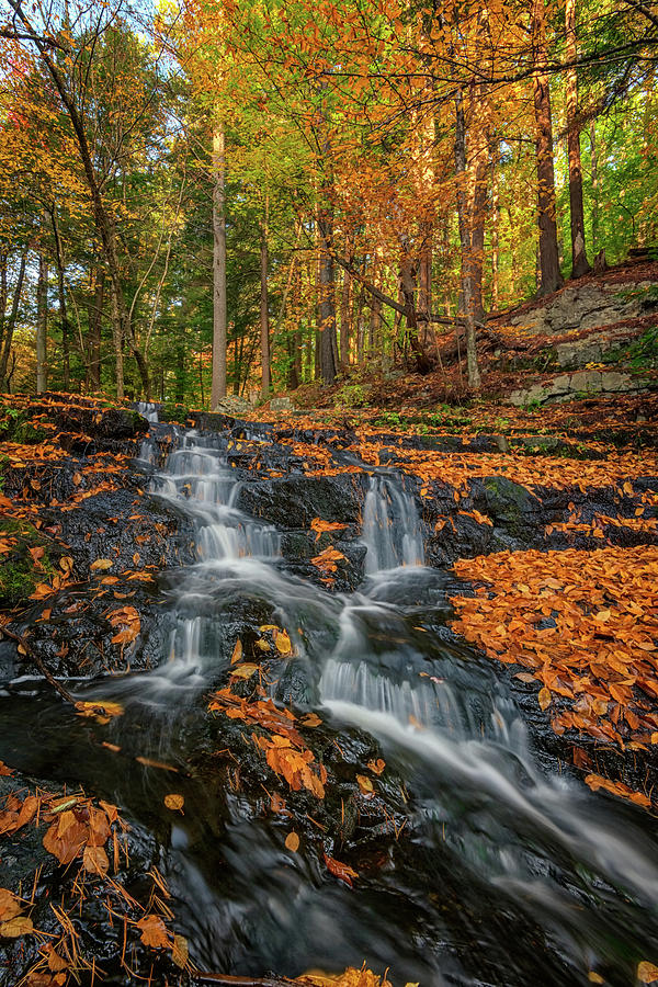 Fall Photograph - Vaughan Brook in Autumn by Rick Berk