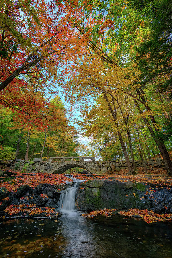 Fall Photograph - Vaughan Brook by Rick Berk